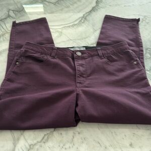 Wit & Wisdom pants. Deep maroon. 10P